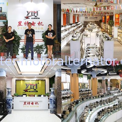 OEM 01-048/YY16C31 Alternator Regulator for 11S1 Car Fitment with ISO9001/CE/TS16949 Certification